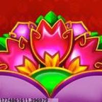 游戏视频与直播